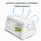 Terrarium grenouilles – Compact anti-évasion