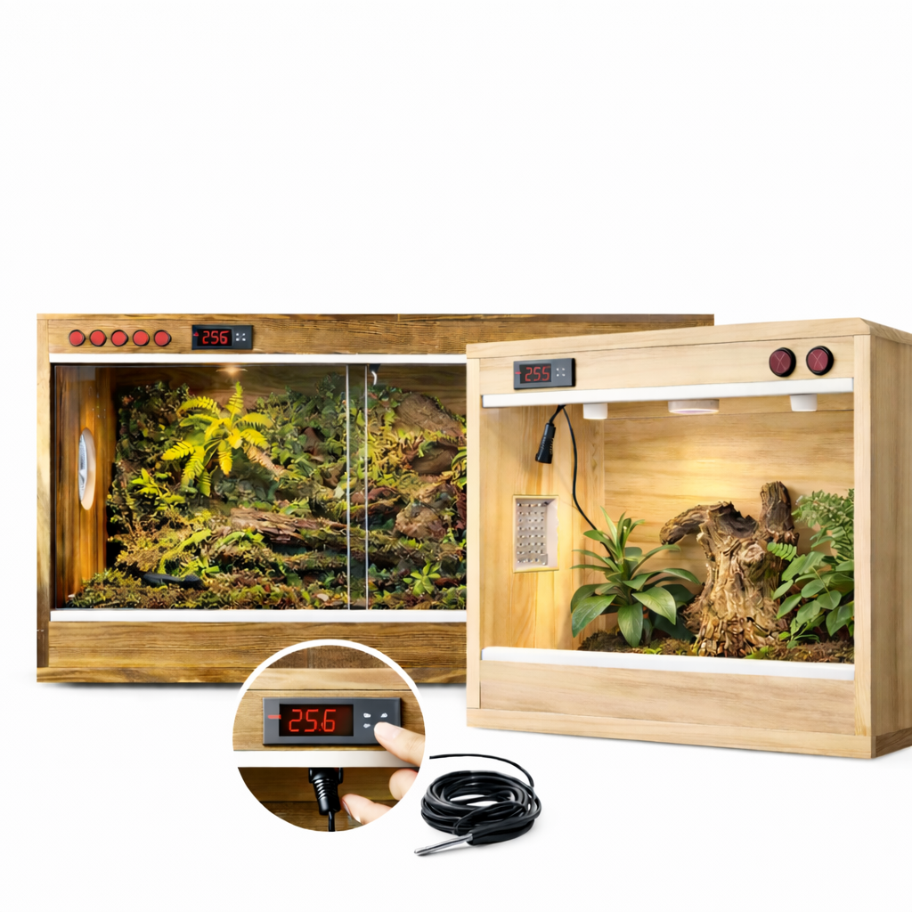 Terrarium pour escargots – Bois humide naturel