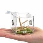 Terrarium pour escargots – Acrylique mini humide