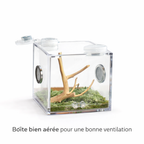 Terrarium pour escargots – Acrylique mini humide