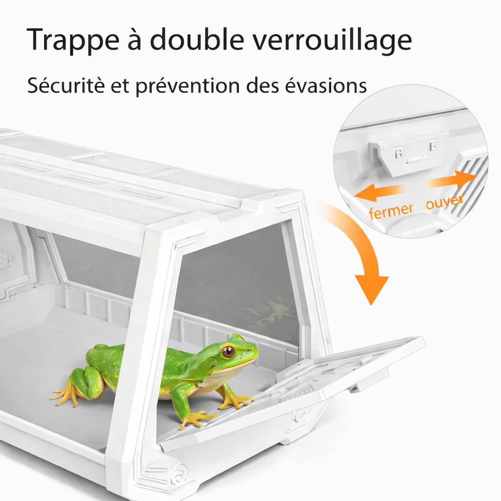 Terrarium grenouilles – Compact anti-évasion