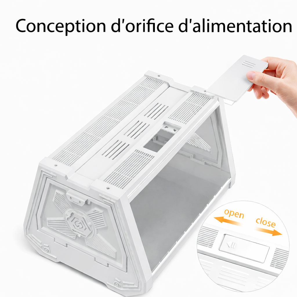 Terrarium escargot – Boîte d’observation pratique