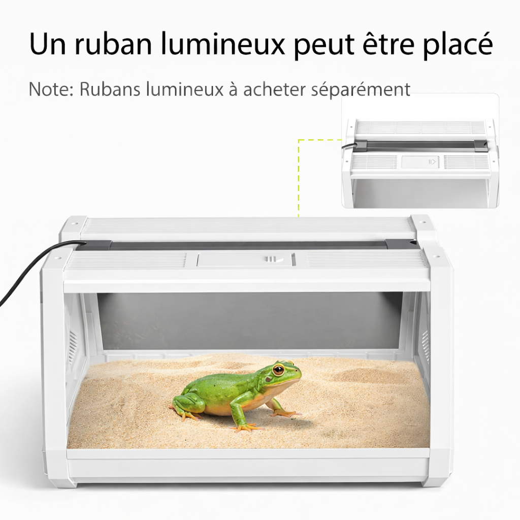 Terrarium grenouilles – Compact anti-évasion