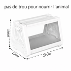 Terrarium escargot – Boîte d’observation pratique