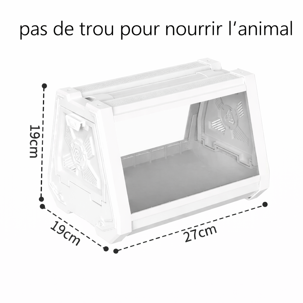 Terrarium escargot – Boîte d’observation pratique