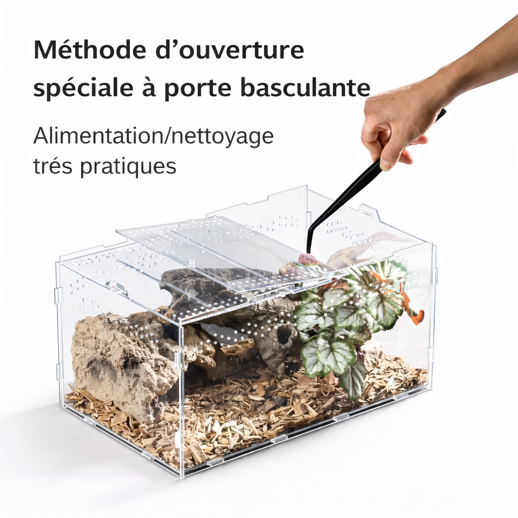 Terrarium pour escargots – Acrylique clair respirant