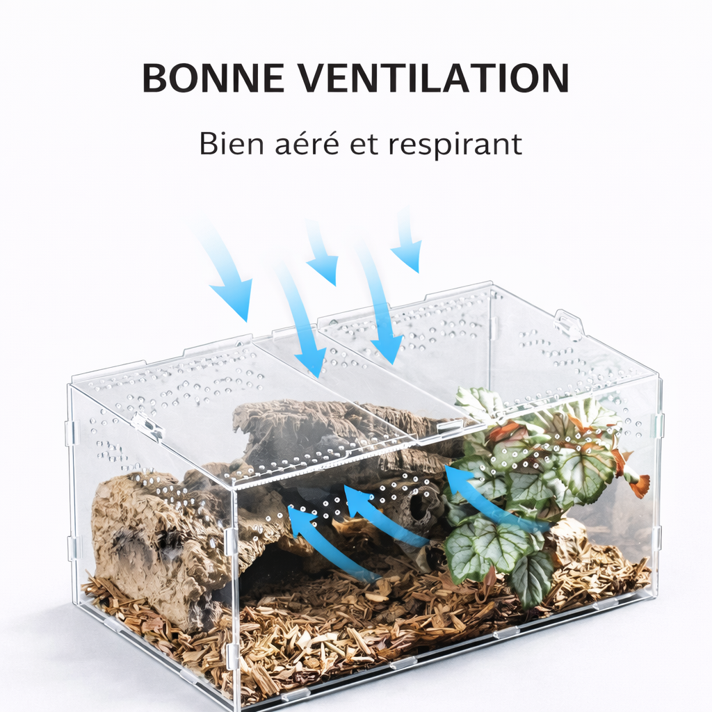 Terrarium pour escargots – Acrylique clair respirant