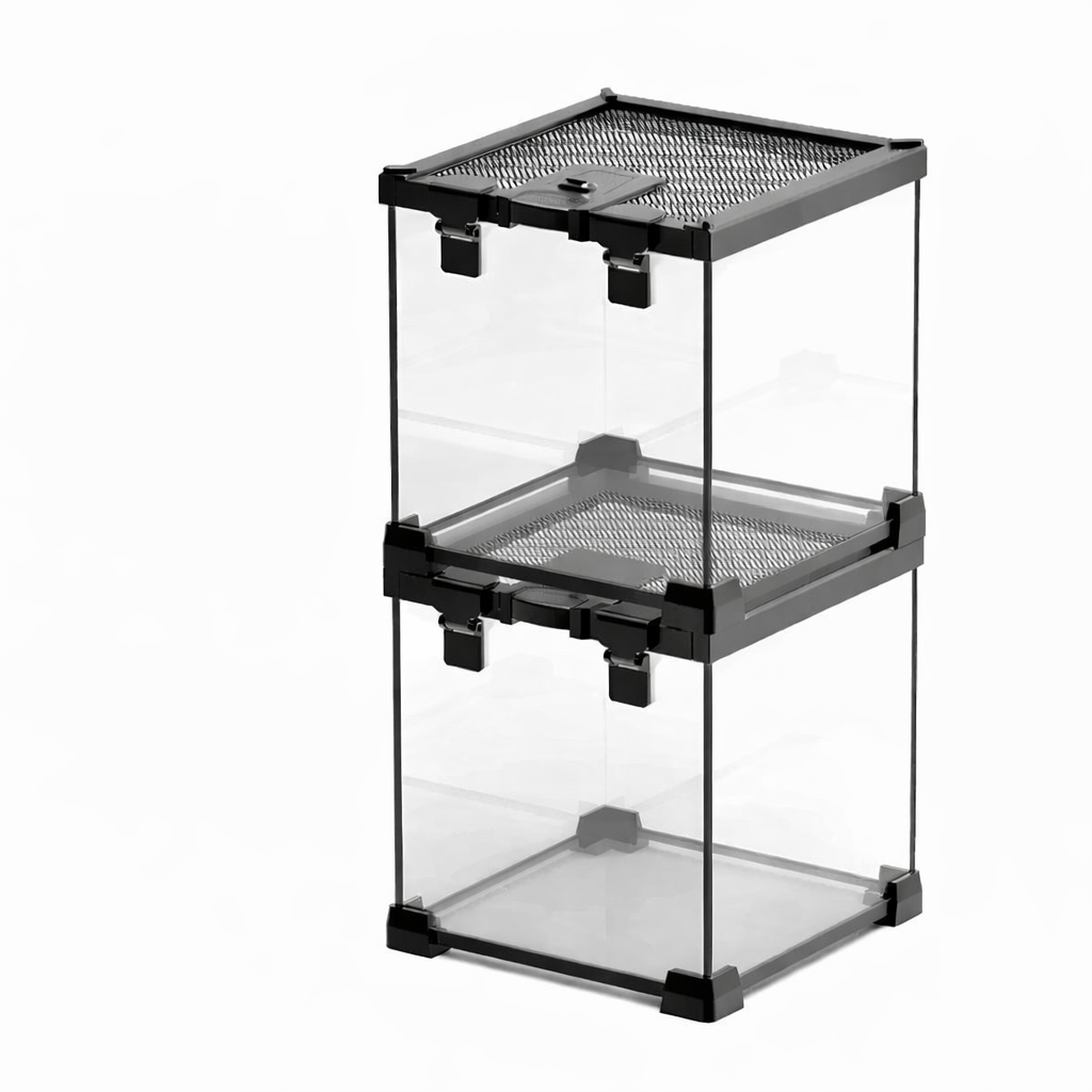 Terrarium pour phasmes – Verre haut respirant