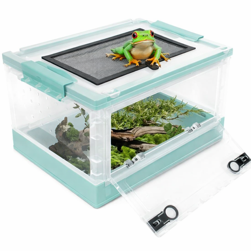 Terrarium pour grenouilles – Plastic humide facile