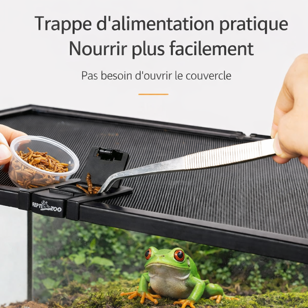 Terrarium pour grenouilles – Verre jungle tropical