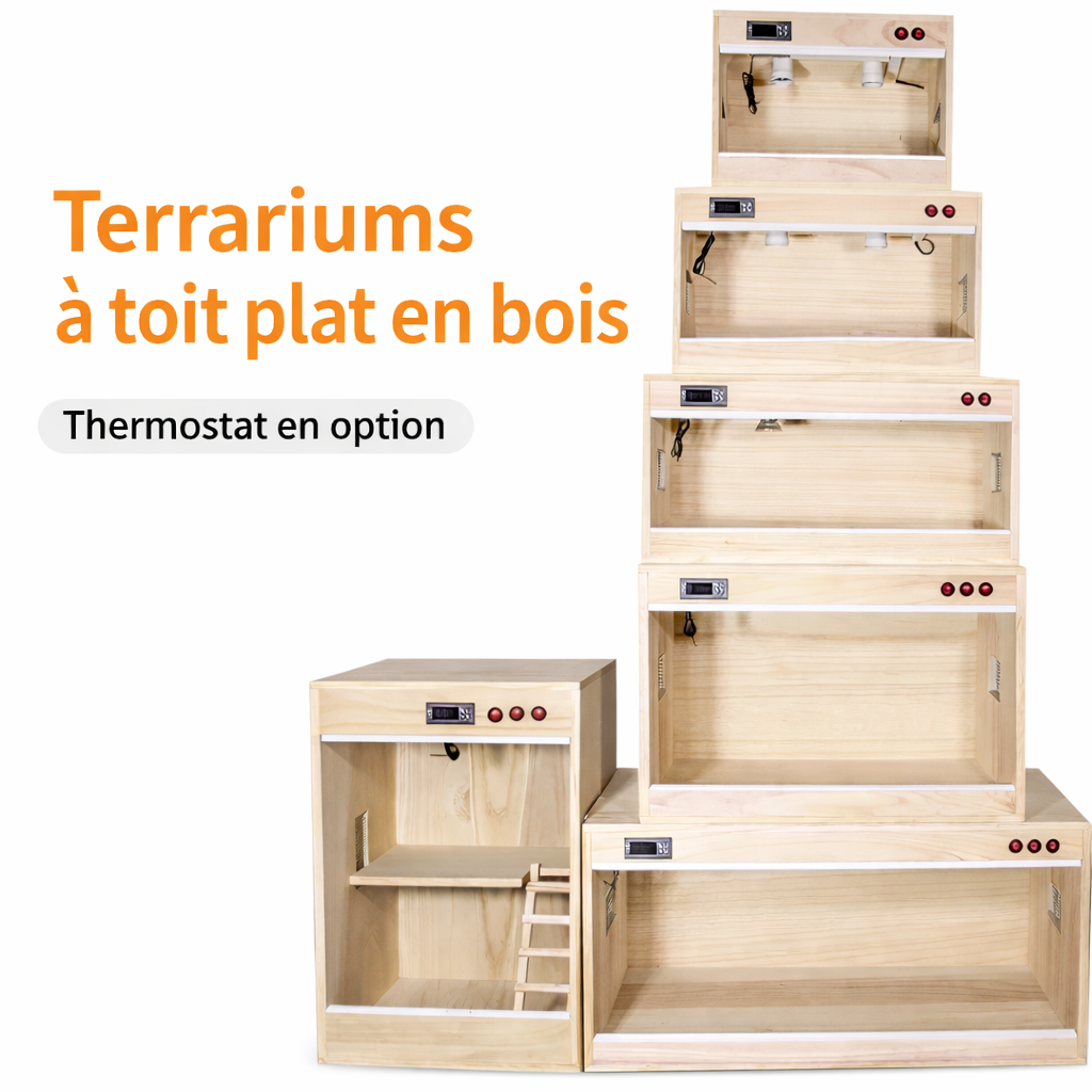 Terrarium pour escargots – Bois humide naturel