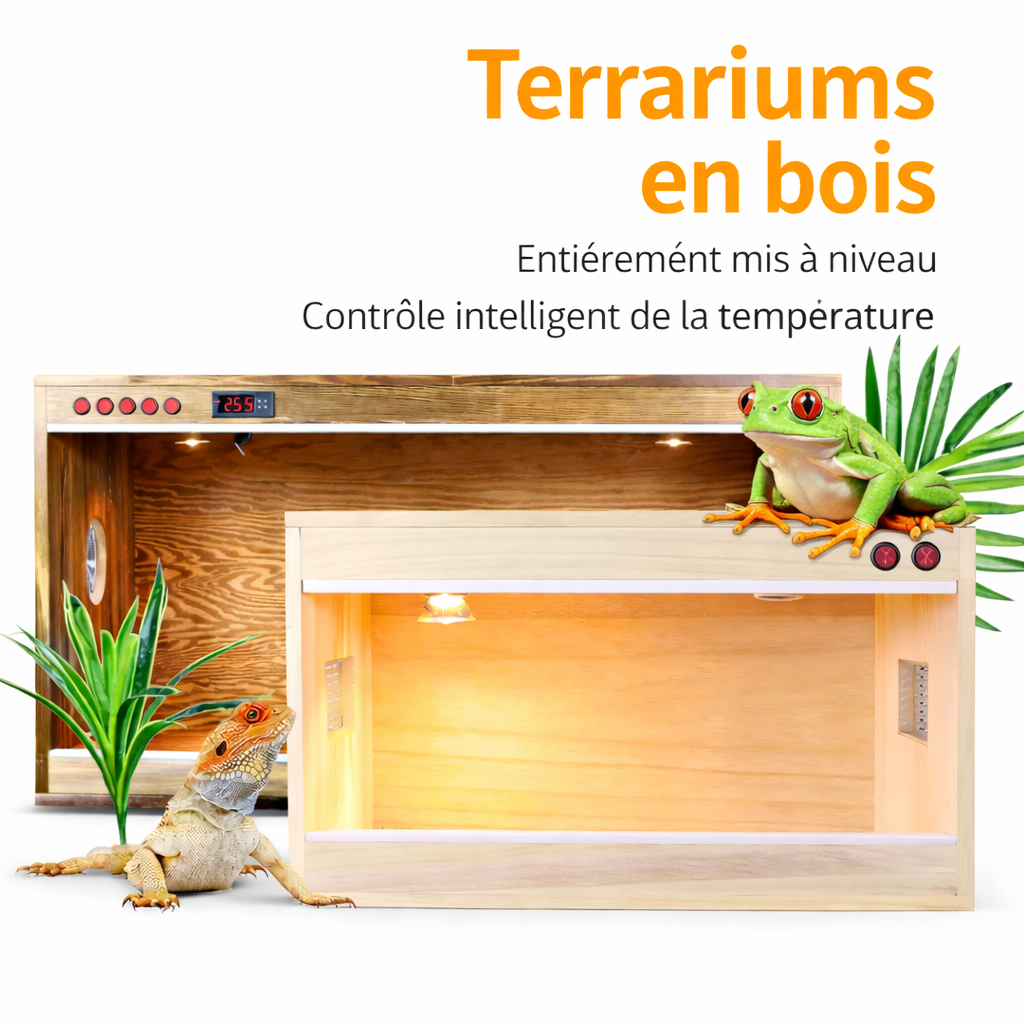 Terrarium pour grenouilles – Bois tropical tempéré