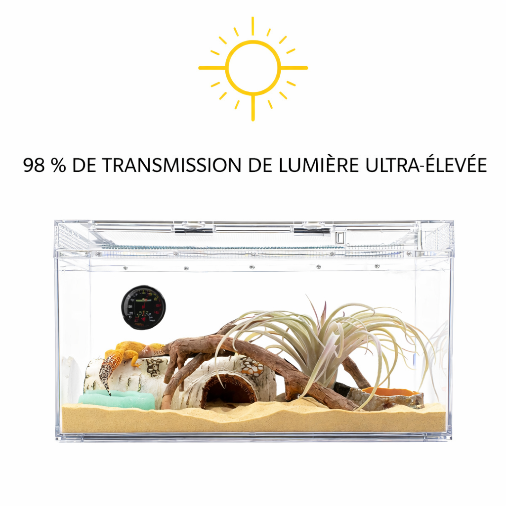 Terrarium pour phasmes – Plastic léger sécurisé