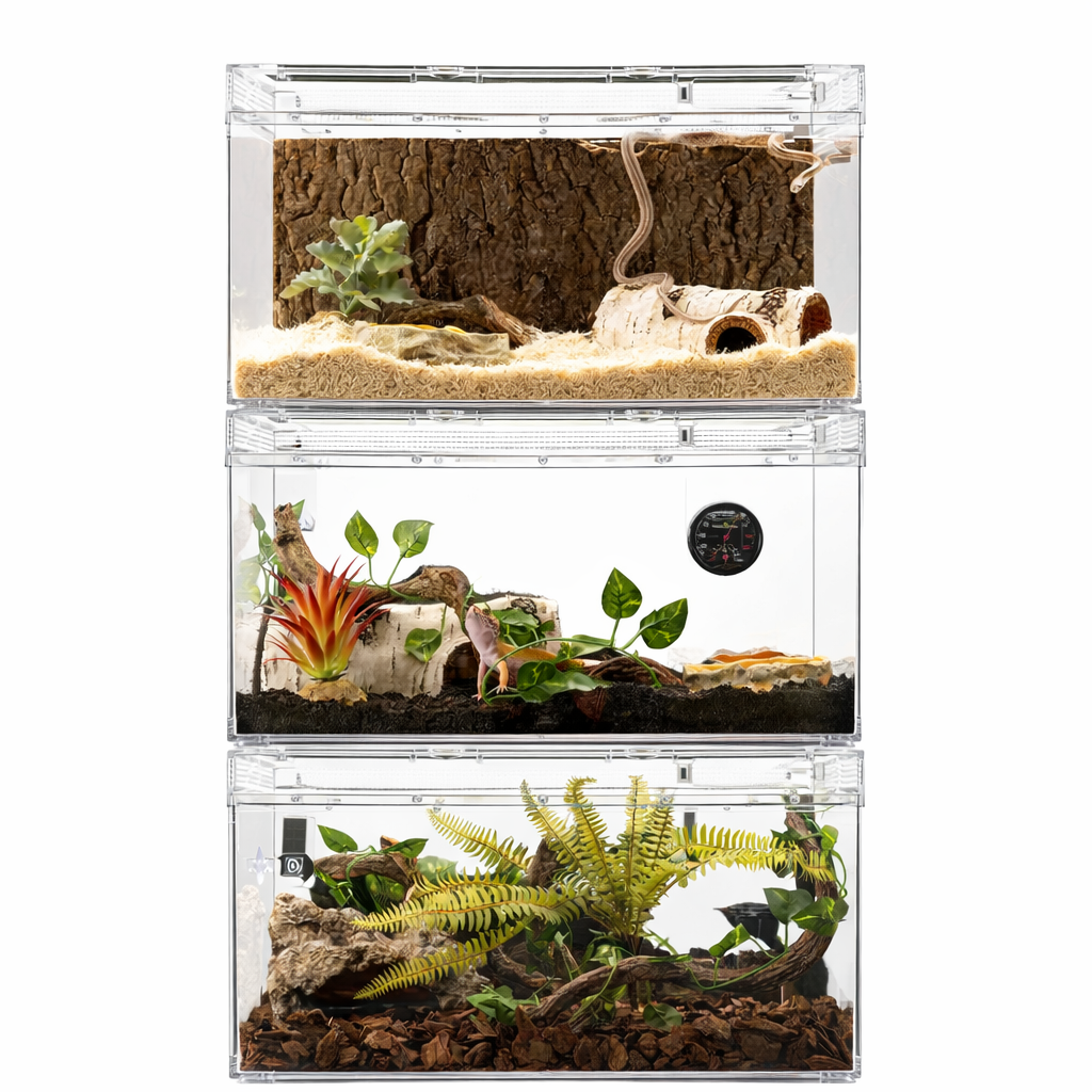 Terrarium pour phasmes – Plastic léger sécurisé