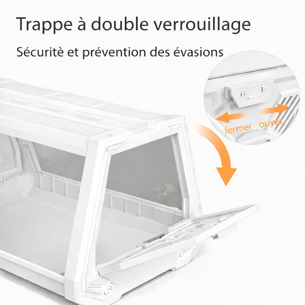 Terrarium escargot – Boîte d’observation pratique