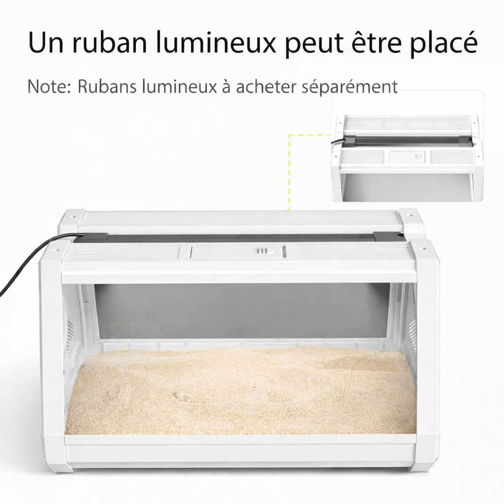 Terrarium escargot – Boîte d’observation pratique