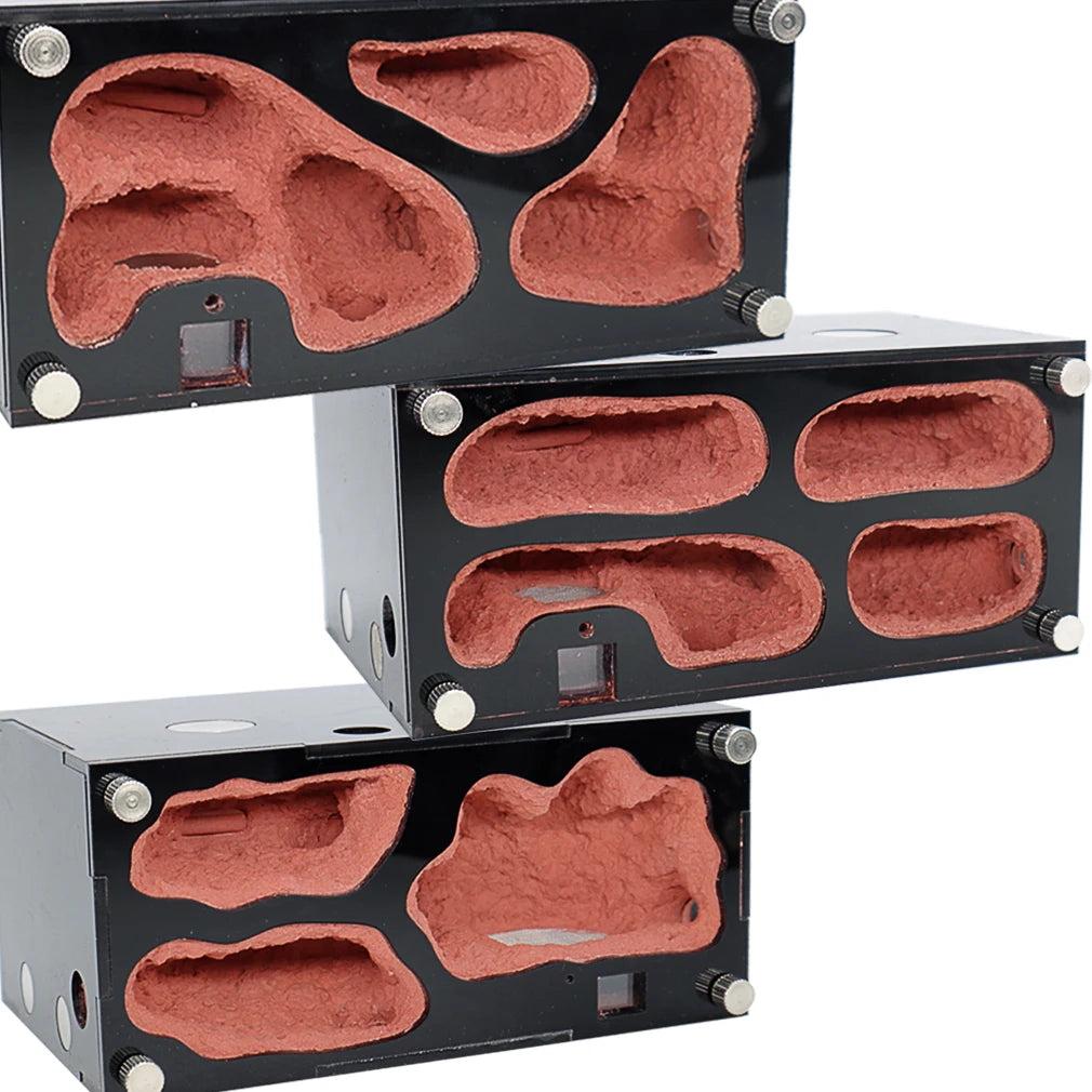 Terrarium pour fourmis – Acrylique rouge naturel