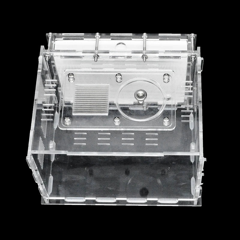 Terrarium pour fourmis – Acrylique plâtre écologique