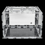 Terrarium pour fourmis – Acrylique plâtre écologique