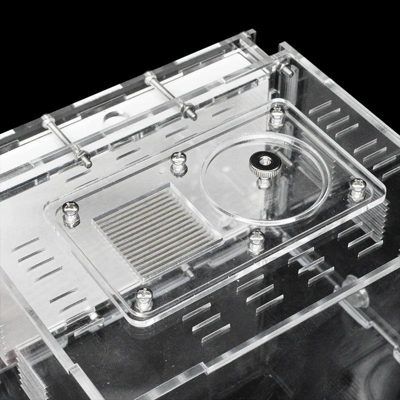 Terrarium pour fourmis – Acrylique plâtre écologique