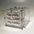 Terrarium pour fourmis – Acrylique plâtre écologique