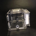 Terrarium pour fourmis – Acrylique plâtre écologique