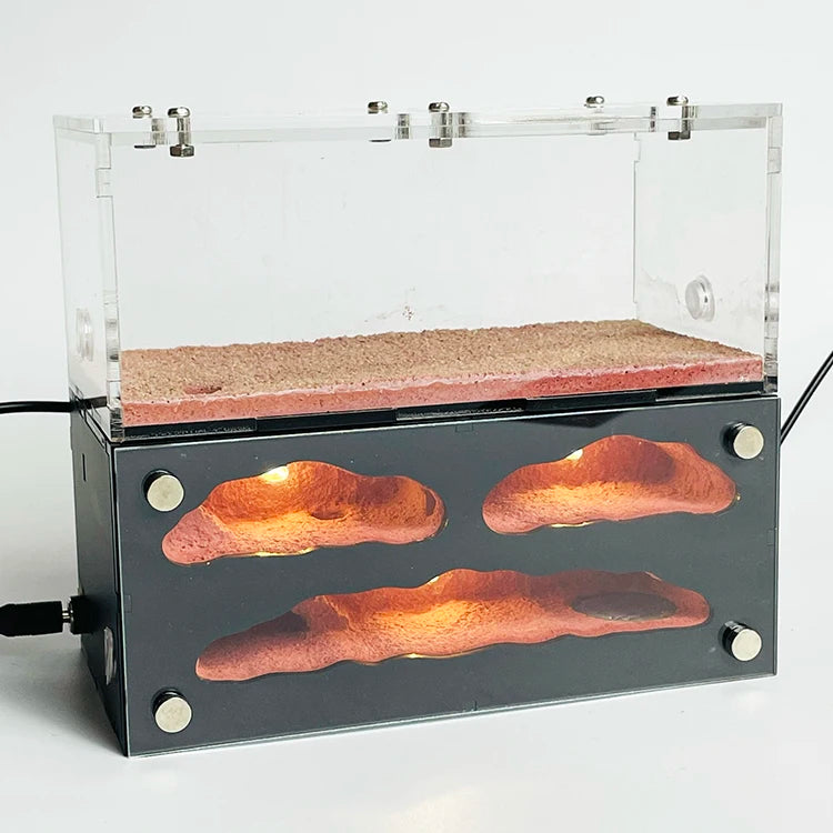 Terrarium pour fourmis – Élite modulaire éclairé