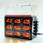 Terrarium pour fourmis – Élite modulaire éclairé