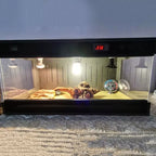 Terrarium pour phasmes – PVC vertical isolé