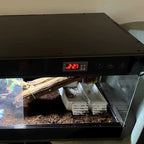 Terrarium pour phasmes – PVC vertical isolé