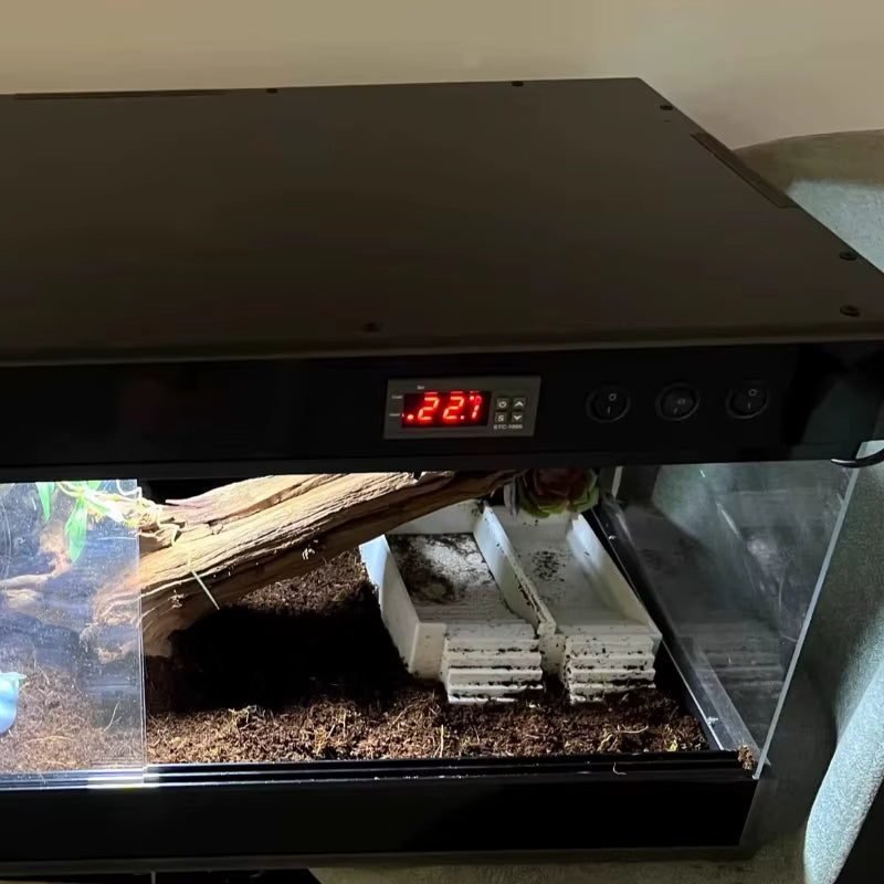 Terrarium pour phasmes – PVC vertical isolé