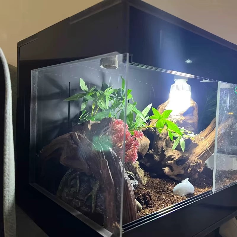 Terrarium pour phasmes – PVC vertical isolé