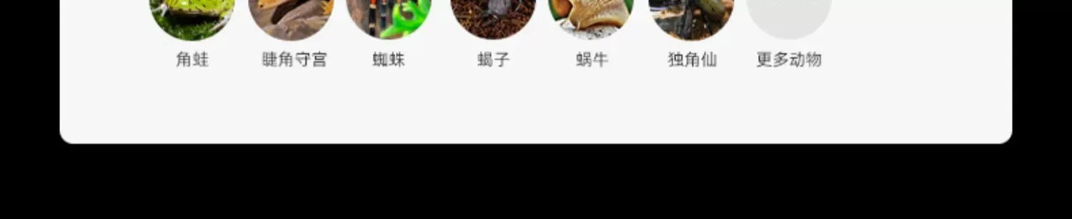 Terrarium pour escargots – Verre humide