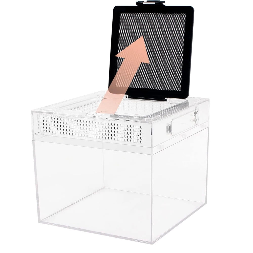 Terrarium pour serpents – Plastic compact ventilé