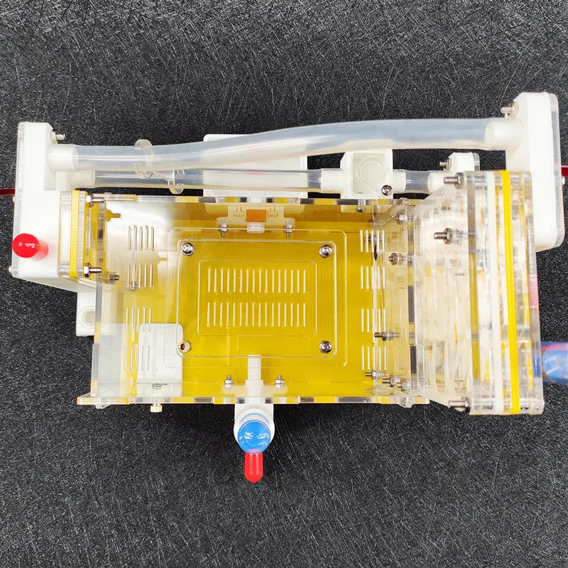 Terrarium pour fourmis – Acrylique galerie modulaire