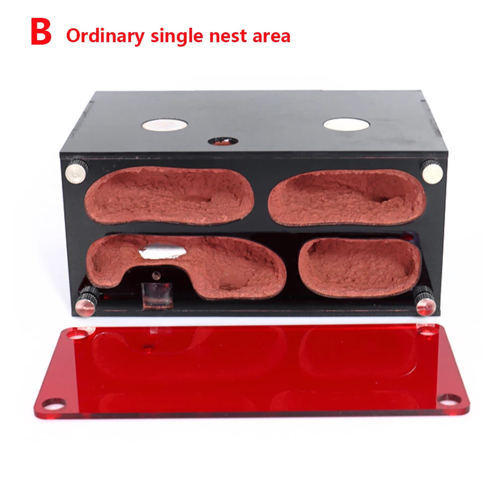 Terrarium pour fourmis – Acrylique rouge naturel