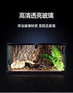 Terrarium pour escargots – Verre humide