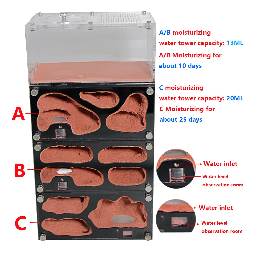 Terrarium pour fourmis – Acrylique rouge naturel