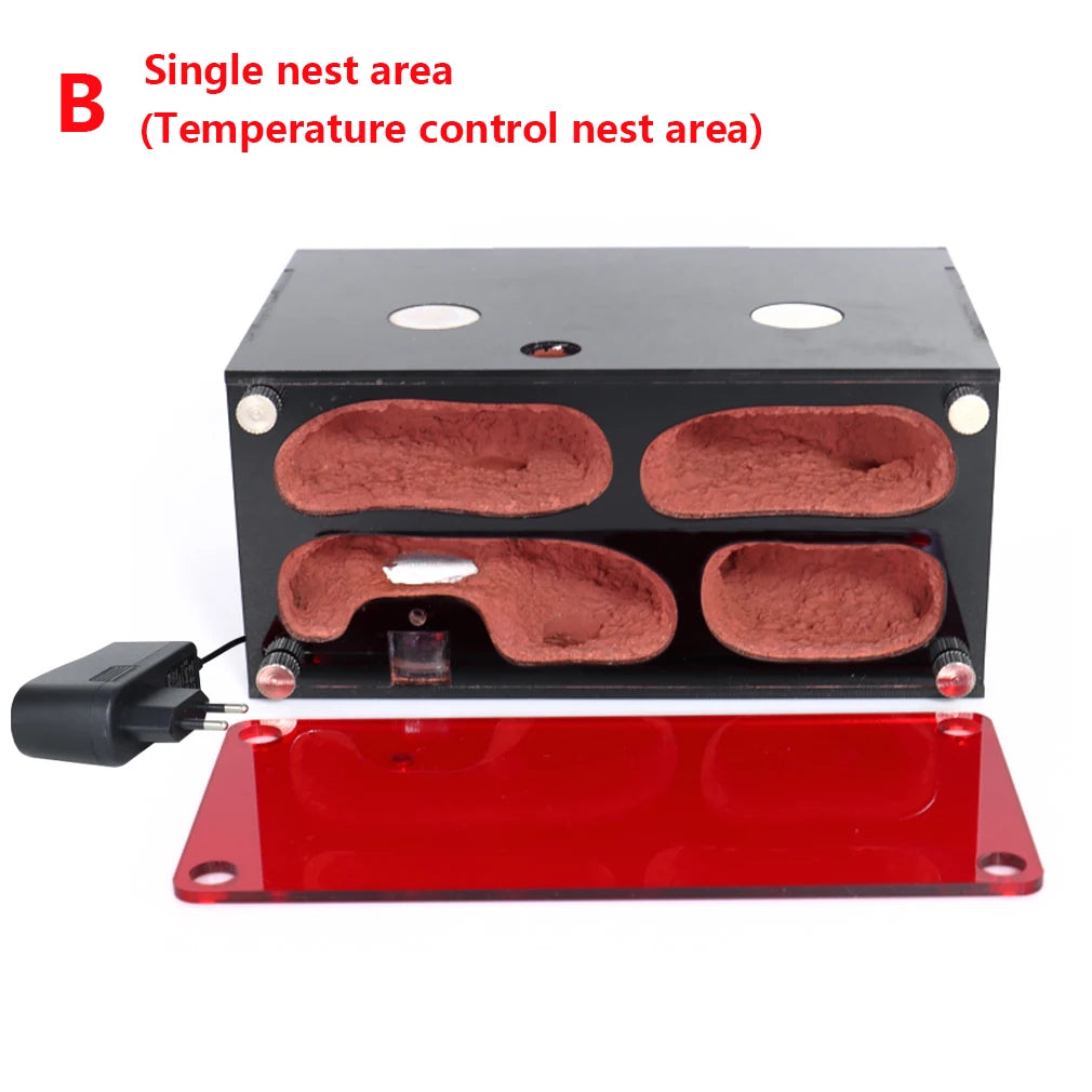 Terrarium pour fourmis – Acrylique rouge naturel