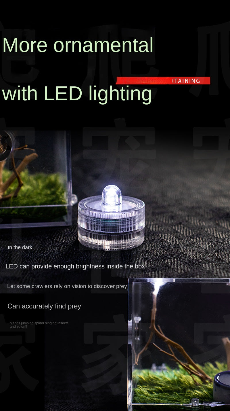 Terrarium pour escargots – Acrylique mini humide