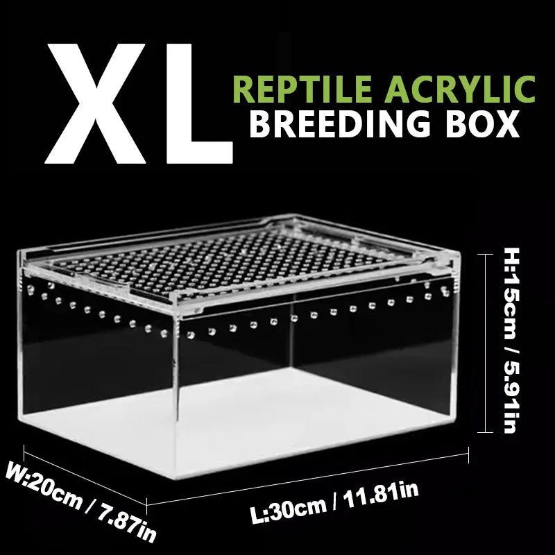 Terrarium pour phasmes – Acrylic léger aéré