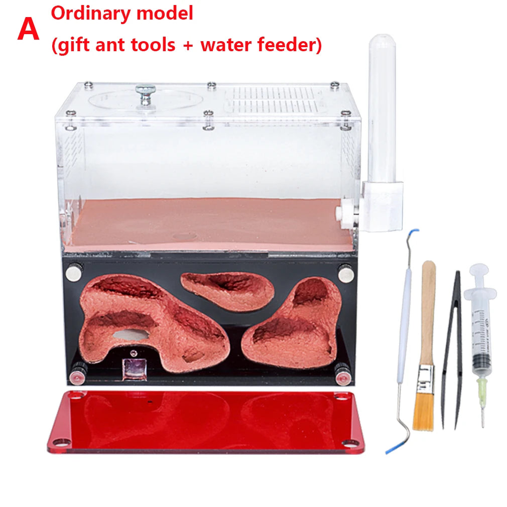 Terrarium pour fourmis – Acrylique rouge naturel