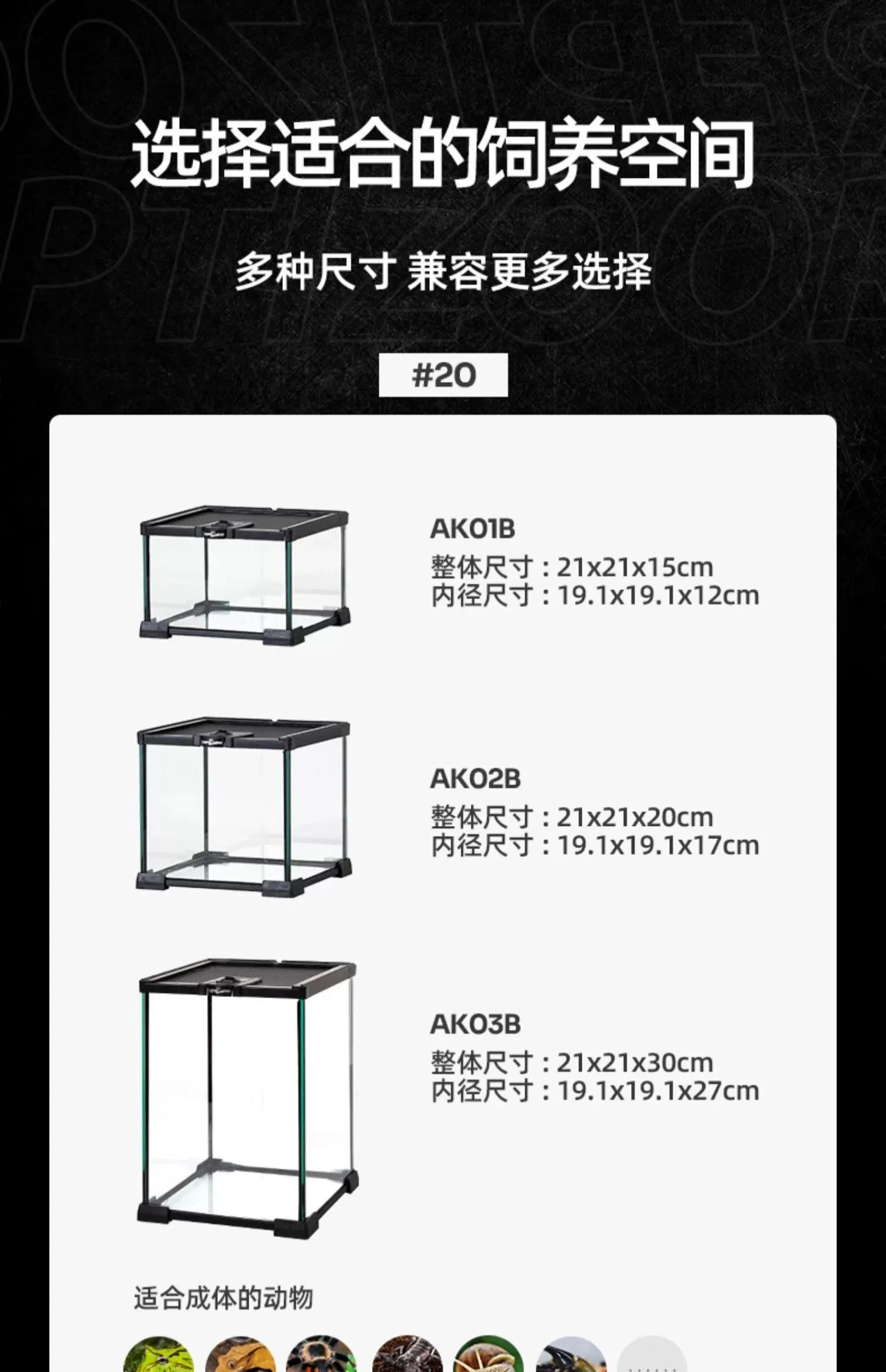 Terrarium pour escargots – Verre humide
