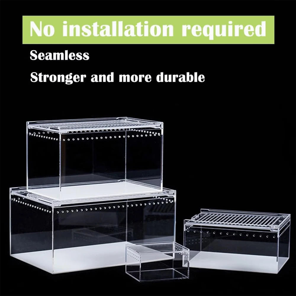 Terrarium pour phasmes – Acrylic léger aéré