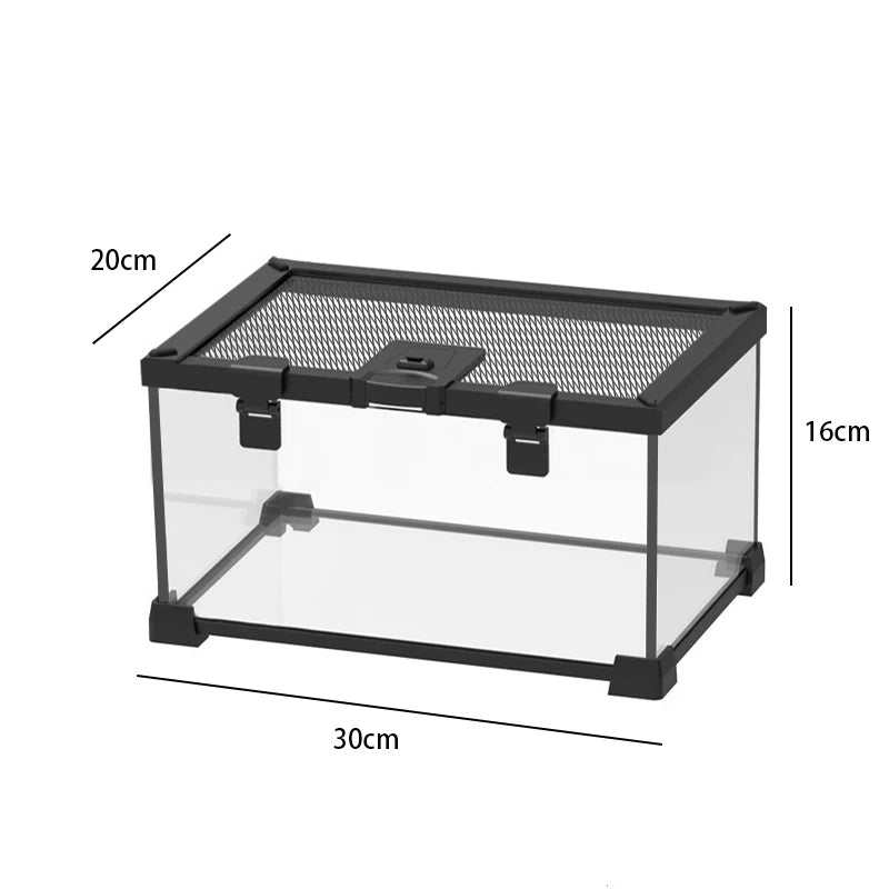 Terrarium pour phasmes – Verre haut respirant