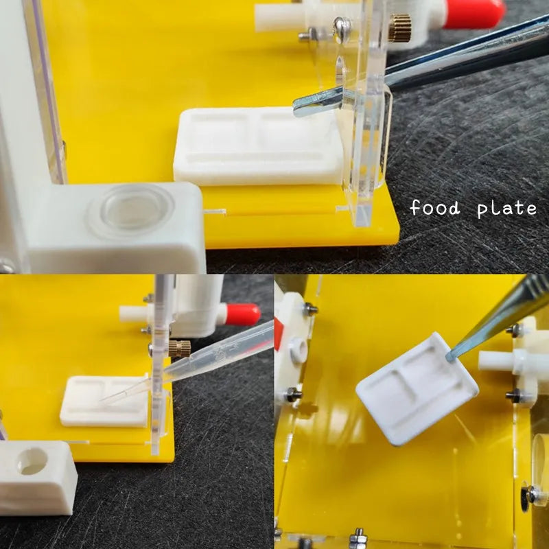 Terrarium pour fourmis – Acrylique galerie modulaire