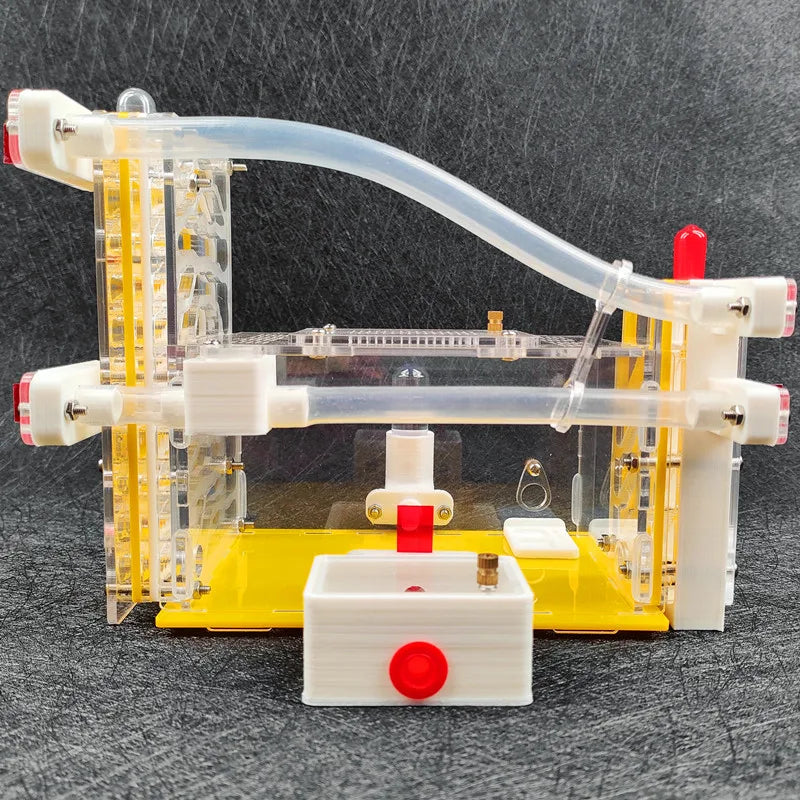 Terrarium pour fourmis – Acrylique galerie modulaire