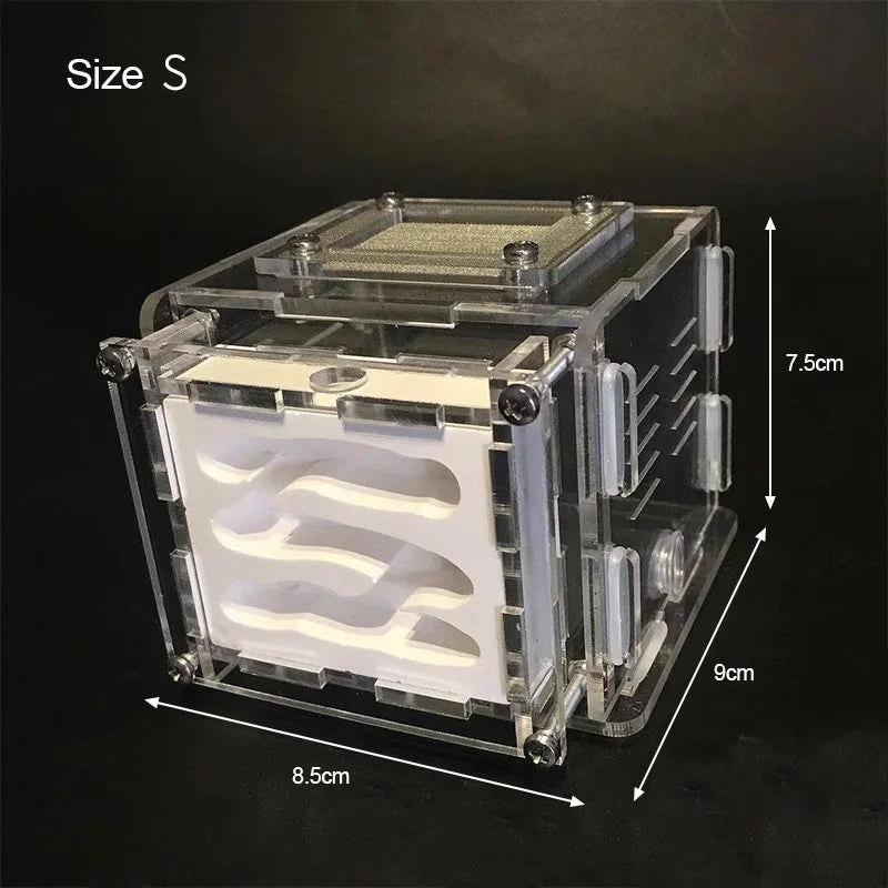 Terrarium pour fourmis – Acrylique plâtre écologique