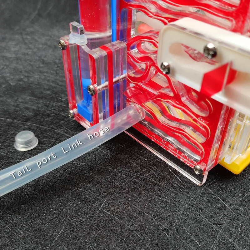 Terrarium pour fourmis – Acrylique galerie modulaire