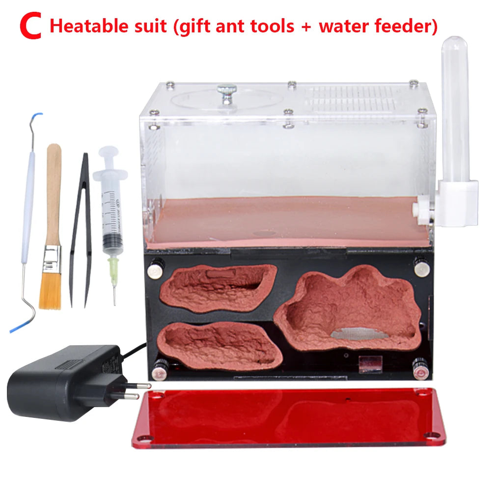 Terrarium pour fourmis – Acrylique rouge naturel